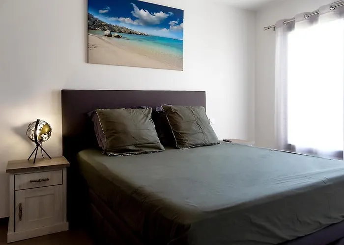 Domaine D'arca Corse Du Sud - T2 - 4 Personnes 